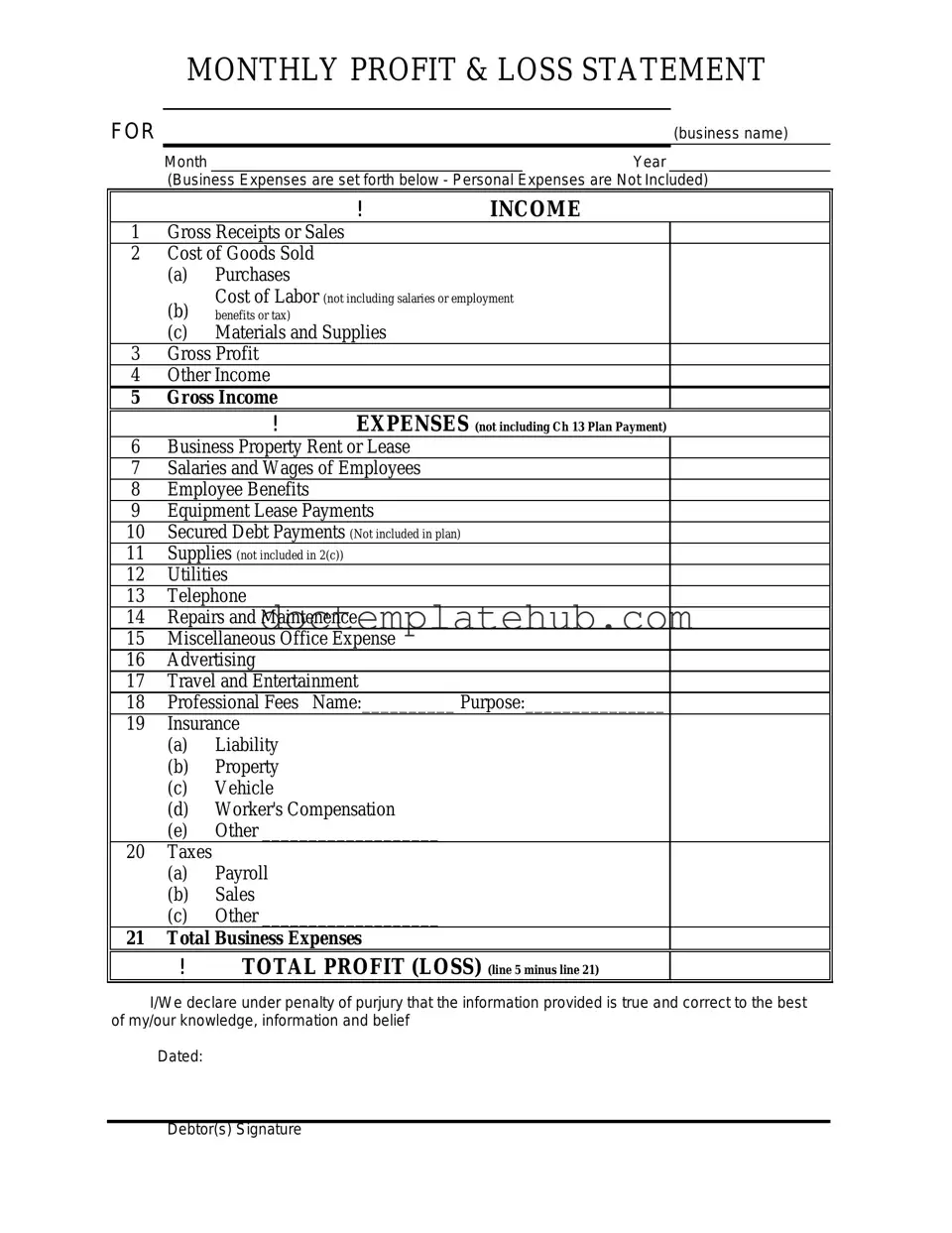 Fill Your Profit And Loss Form