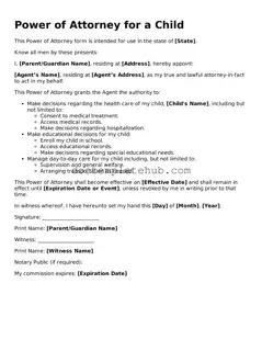 Official Power of Attorney for a Child Form