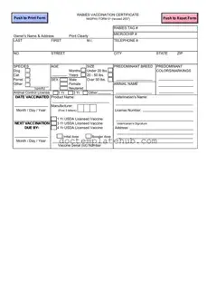 Fill Your Rabies Certificate Form