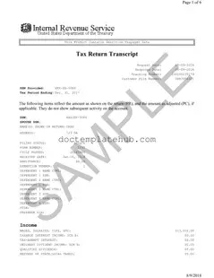 Fill Your Sample Tax Return Transcript Form